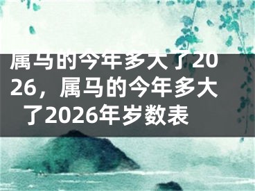 属马的今年多大了2026，属马的今年多大了2026年岁数表