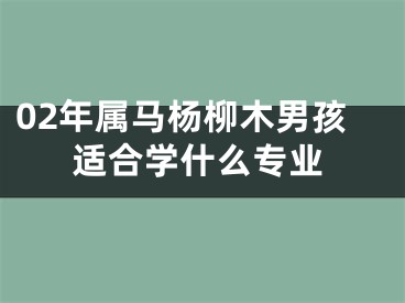 02年属马杨柳木男孩适合学什么专业
