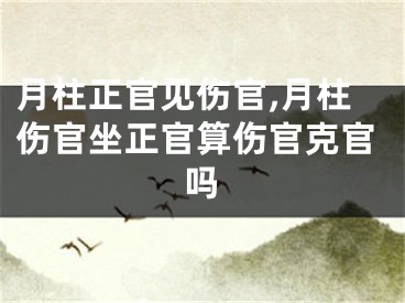 月柱正官见伤官,月柱伤官坐正官算伤官克官吗