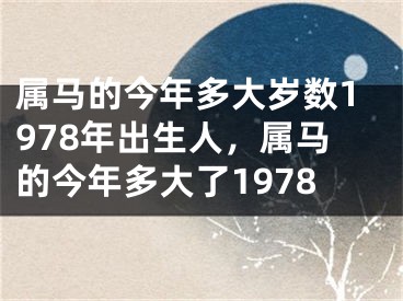 属马的今年多大岁数1978年出生人，属马的今年多大了1978