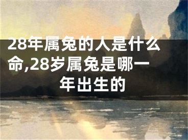 28年属兔的人是什么命,28岁属兔是哪一年出生的
