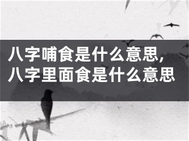 八字哺食是什么意思,八字里面食是什么意思