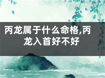 丙龙属于什么命格,丙龙入首好不好