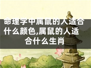 命理学中属鼠的人适合什么颜色,属鼠的人适合什么生肖