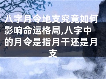 八字月令地支究竟如何影响命运格局,八字中的月令是指月干还是月支