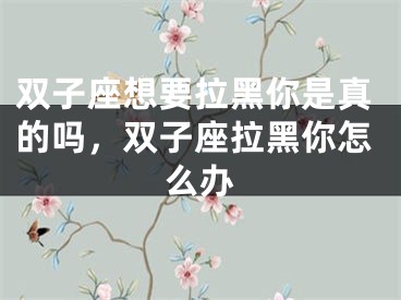 双子座想要拉黑你是真的吗，双子座拉黑你怎么办