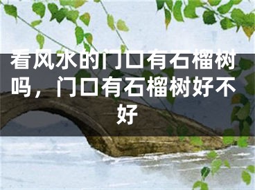 看风水的门口有石榴树吗，门口有石榴树好不好