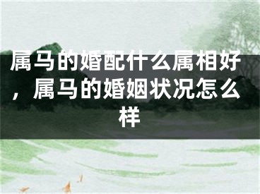 属马的婚配什么属相好，属马的婚姻状况怎么样
