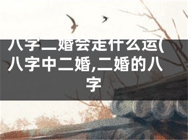 八字二婚会走什么运(八字中二婚,二婚的八字