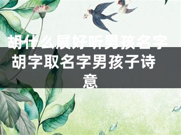 胡什么展好听男孩名字 胡字取名字男孩子诗意
