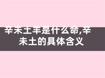 辛未土羊是什么命,辛未土的具体含义