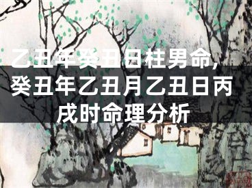 乙丑年癸丑日柱男命,癸丑年乙丑月乙丑日丙戌时命理分析