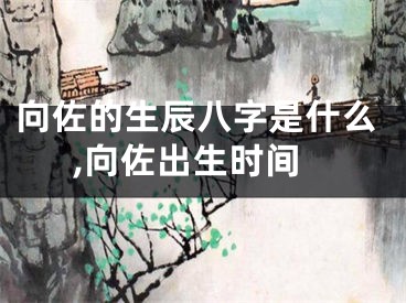 向佐的生辰八字是什么,向佐出生时间