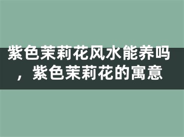紫色茉莉花风水能养吗，紫色茉莉花的寓意