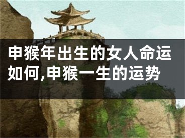 申猴年出生的女人命运如何,申猴一生的运势