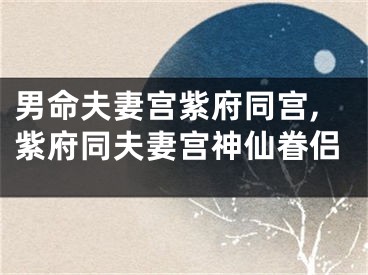 男命夫妻宫紫府同宫,紫府同夫妻宫神仙眷侣