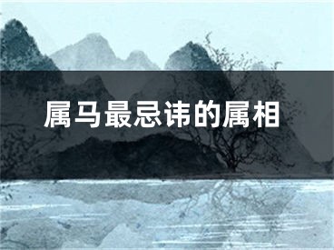 属马最忌讳的属相