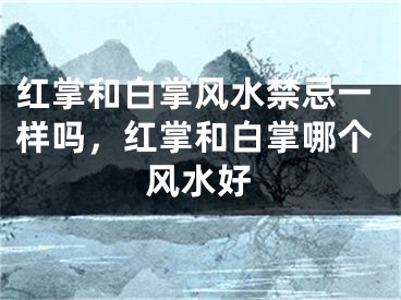 红掌和白掌风水禁忌一样吗，红掌和白掌哪个风水好