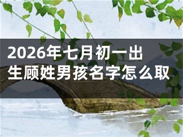 2026年七月初一出生顾姓男孩名字怎么取