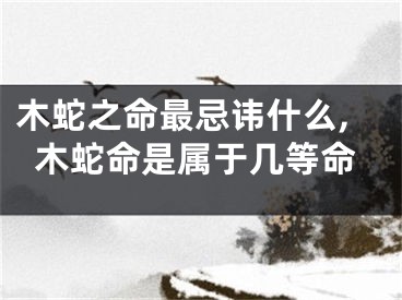 木蛇之命最忌讳什么,木蛇命是属于几等命