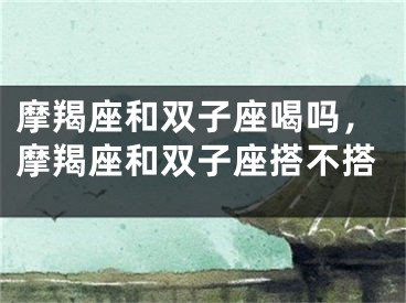 摩羯座和双子座喝吗，摩羯座和双子座搭不搭