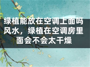 绿植能放在空调上面吗风水，绿植在空调房里面会不会太干燥