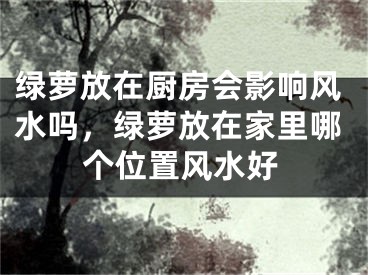 绿萝放在厨房会影响风水吗,绿萝放在家里哪个位置风水好